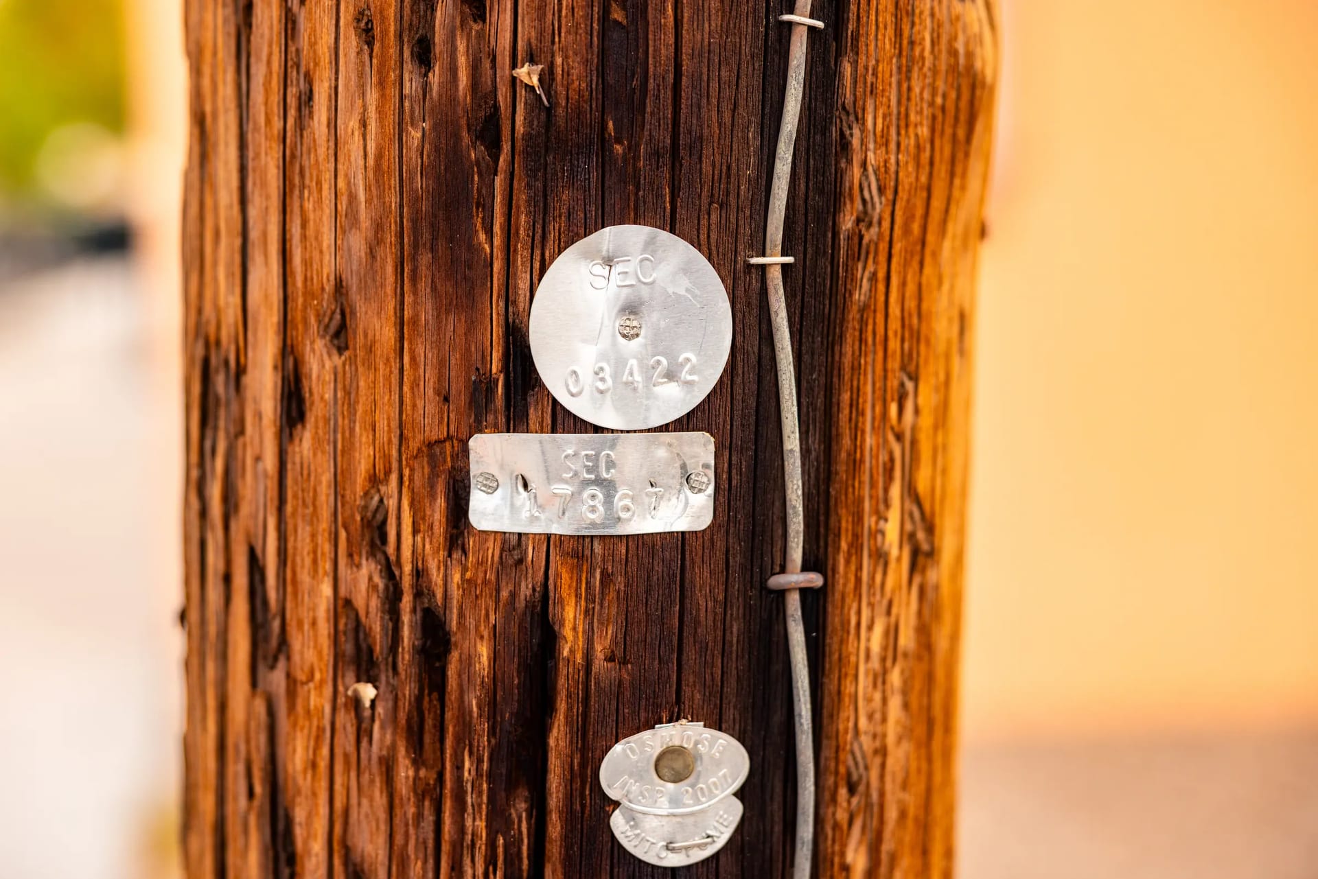 Metal identification tags attached to a weathered wooden Socorro Electric utility pole