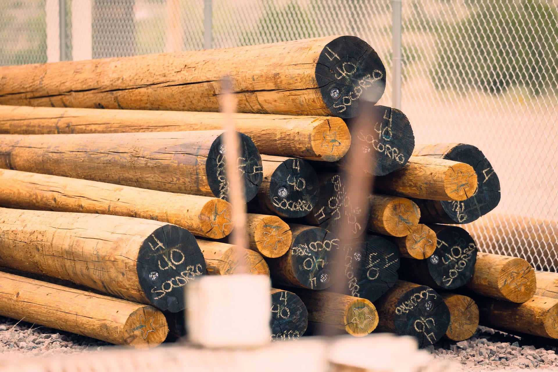 Wooden utility poles marked for Socorro stacked in a storage yard
