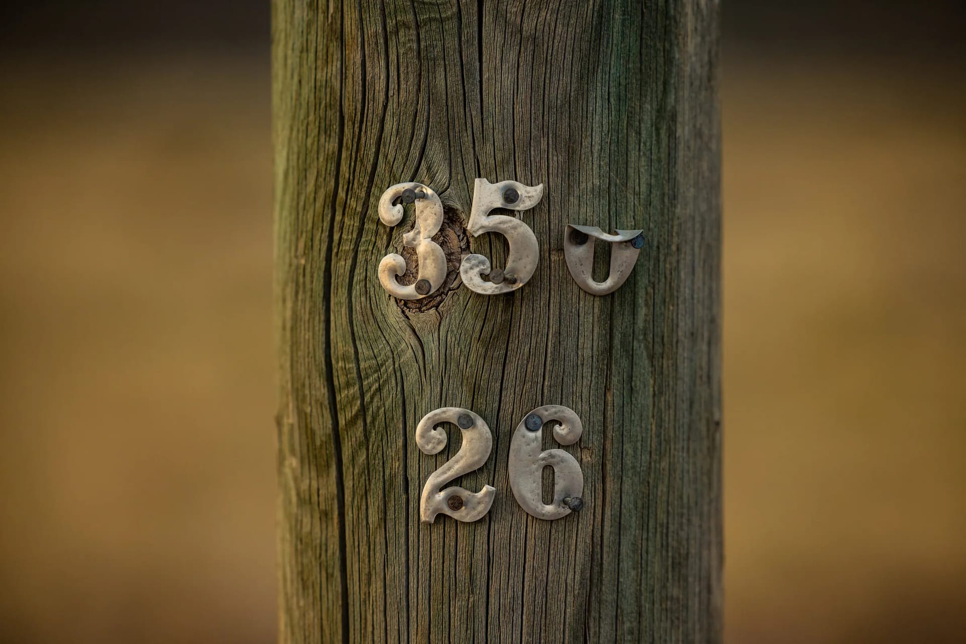 Raised metal identification numbers on a wooden utility pole